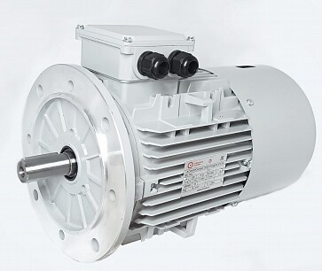 Электродвигатели АИС132M-4-Е 7.5kW F IP55 V380/660/50
